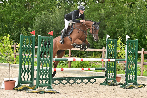 Klein Offenseth  - Hengststation Hell am 28.7.25 | 28072025 Springpferde L _204 