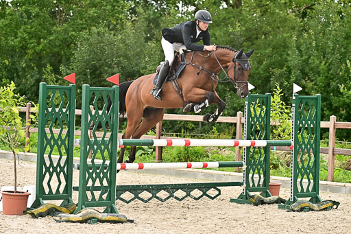 Klein Offenseth  - Hengststation Hell am 28.7.25 | 28072025 Springpferde L _205 