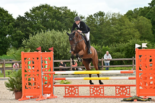 Klein Offenseth  - Hengststation Hell am 28.7.25 | 28072025 Springpferde L _207 