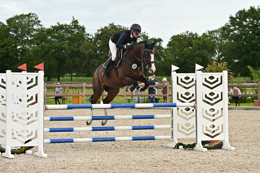 Klein Offenseth  - Hengststation Hell am 28.7.25 | 28072025 Springpferde L _211 