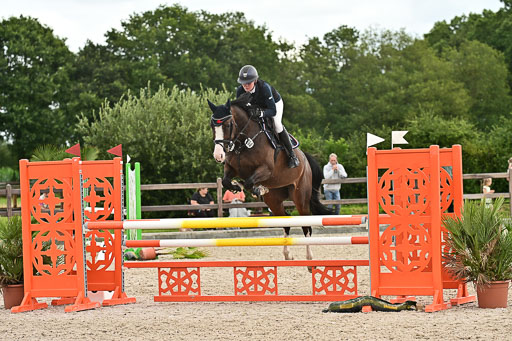 Klein Offenseth  - Hengststation Hell am 28.7.25 | 28072025 Springpferde L _212 