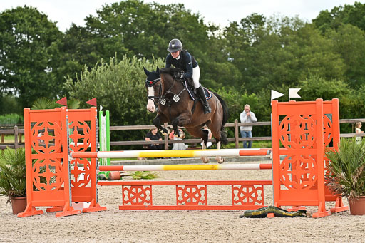 Klein Offenseth  - Hengststation Hell am 28.7.25 | 28072025 Springpferde L _213 