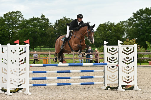 Klein Offenseth  - Hengststation Hell am 28.7.25 | 28072025 Springpferde L _216 