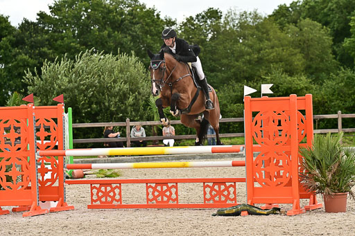 Klein Offenseth  - Hengststation Hell am 28.7.25 | 28072025 Springpferde L _217 