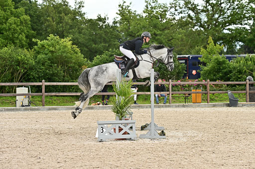 Klein Offenseth  - Hengststation Hell am 28.7.25 | 28072025 Springpferde L _218 