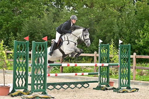 Klein Offenseth  - Hengststation Hell am 28.7.25 | 28072025 Springpferde L _219 