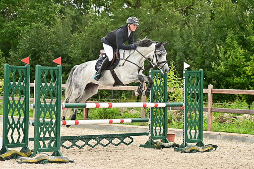 Klein Offenseth  - Hengststation Hell am 28.7.25 | 28072025 Springpferde L _221 