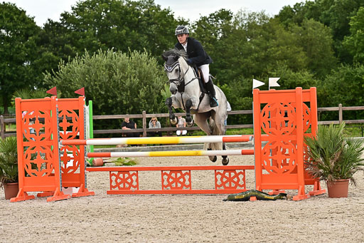 Klein Offenseth  - Hengststation Hell am 28.7.25 | 28072025 Springpferde L _223 