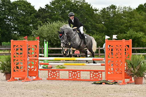 Klein Offenseth  - Hengststation Hell am 28.7.25 | 28072025 Springpferde L _228 