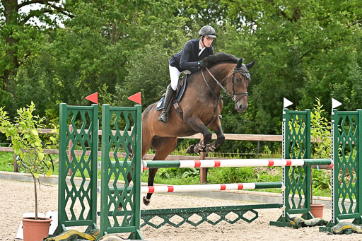 Klein Offenseth  - Hengststation Hell am 28.7.25 | 28072025 Springpferde L _229 