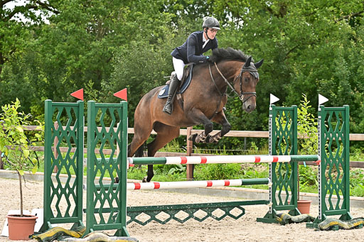 Klein Offenseth  - Hengststation Hell am 28.7.25 | 28072025 Springpferde L _230 