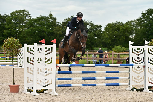 Klein Offenseth  - Hengststation Hell am 28.7.25 | 28072025 Springpferde L _231 