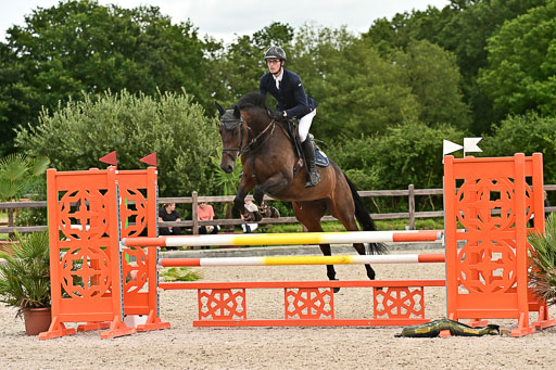 Klein Offenseth  - Hengststation Hell am 28.7.25 | 28072025 Springpferde L _232 