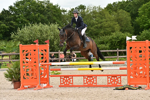 Klein Offenseth  - Hengststation Hell am 28.7.25 | 28072025 Springpferde L _233 