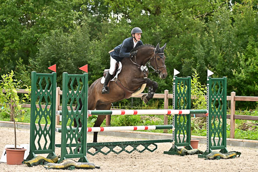 Klein Offenseth  - Hengststation Hell am 28.7.25 | 28072025 Springpferde L _235 