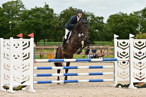 Klein Offenseth  - Hengststation Hell am 28.7.25 | 28072025 Springpferde L _237 