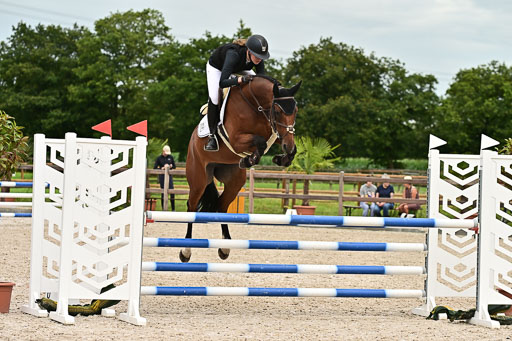 Klein Offenseth  - Hengststation Hell am 28.7.25 | 28072025 Springpferde L _241 