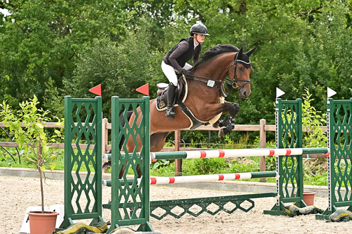 Klein Offenseth  - Hengststation Hell am 28.7.25 | 28072025 Springpferde L _242 