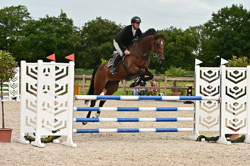 Klein Offenseth  - Hengststation Hell am 28.7.25 | 28072025 Springpferde L _246 