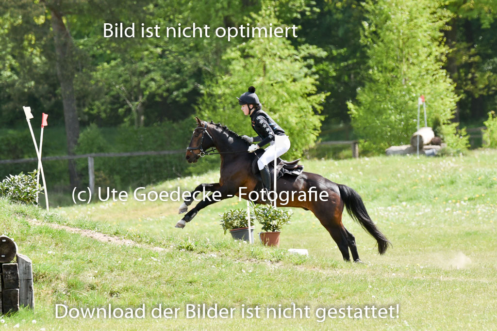  | 10052025 E Stilgelände _010 