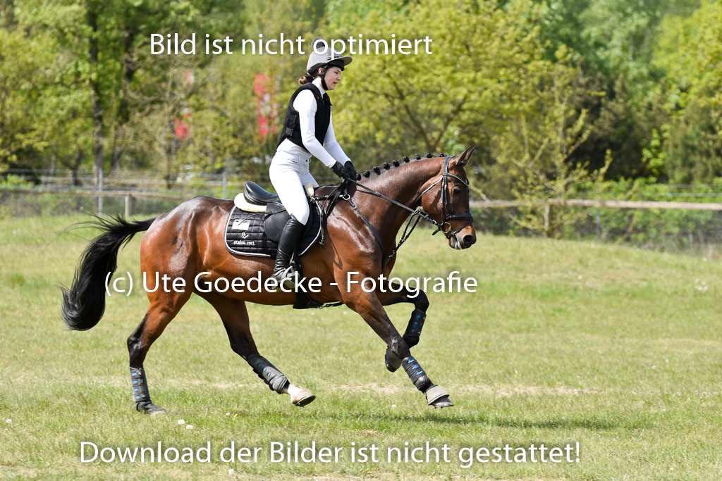  | 10052025 E Stilgelände _011 