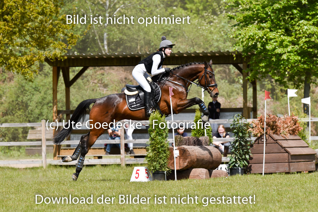  | 10052025 E Stilgelände _013 