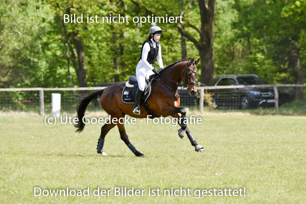  | 10052025 E Stilgelände _015 