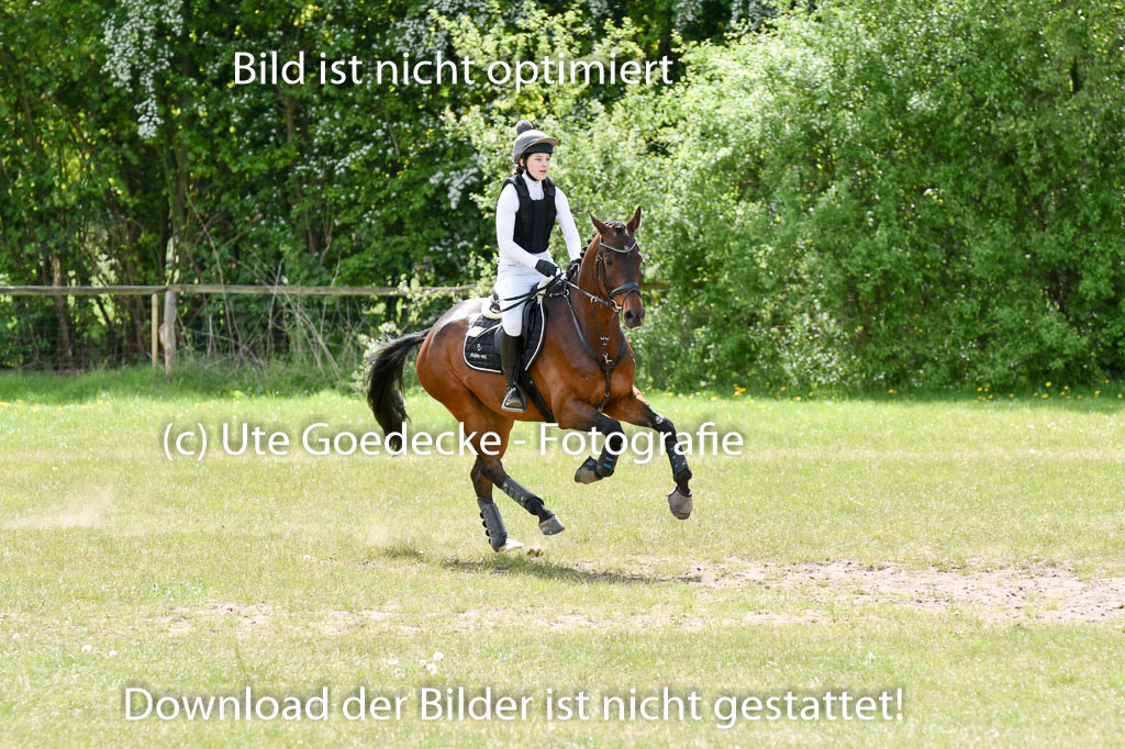 | 10052025 E Stilgelände _017 