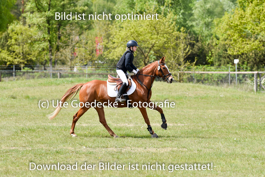  | 10052025 E Stilgelände _029 