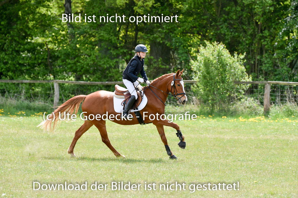  | 10052025 E Stilgelände _032 