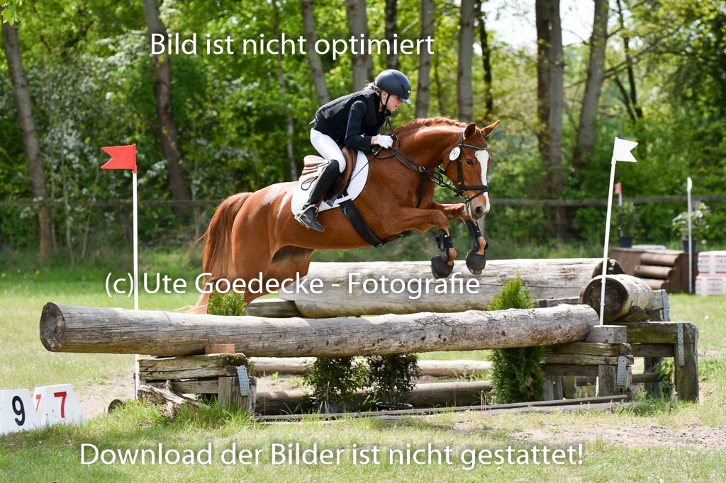  | 10052025 E Stilgelände _034 