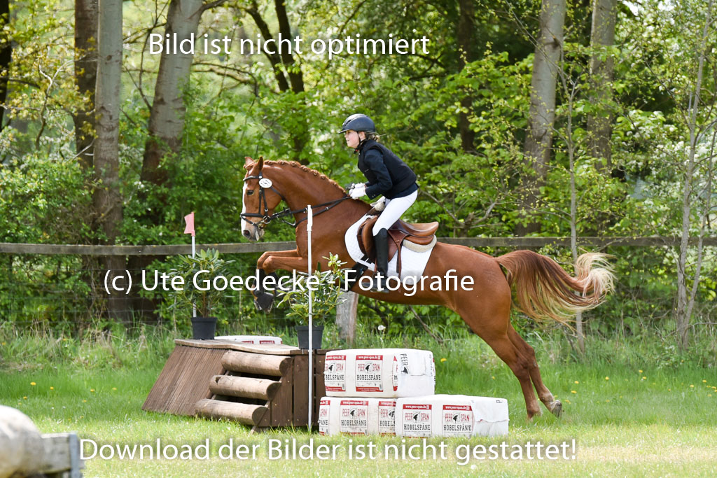  | 10052025 E Stilgelände _035 