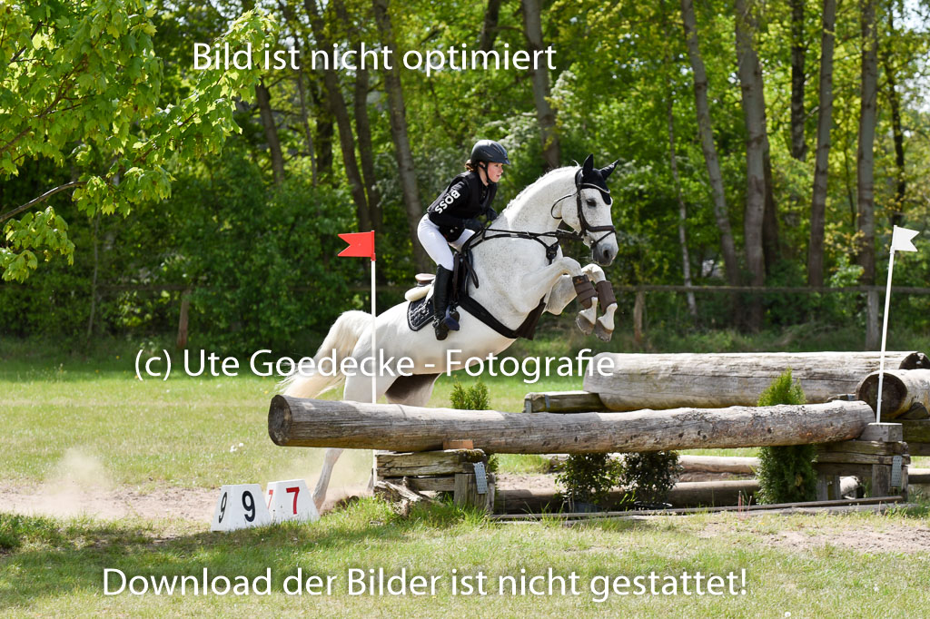 | 10052025 E Stilgelände _042 