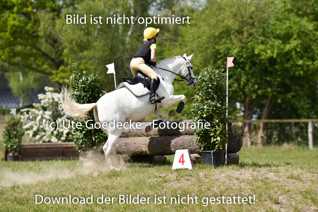  | 10052025 E Stilgelände _047 