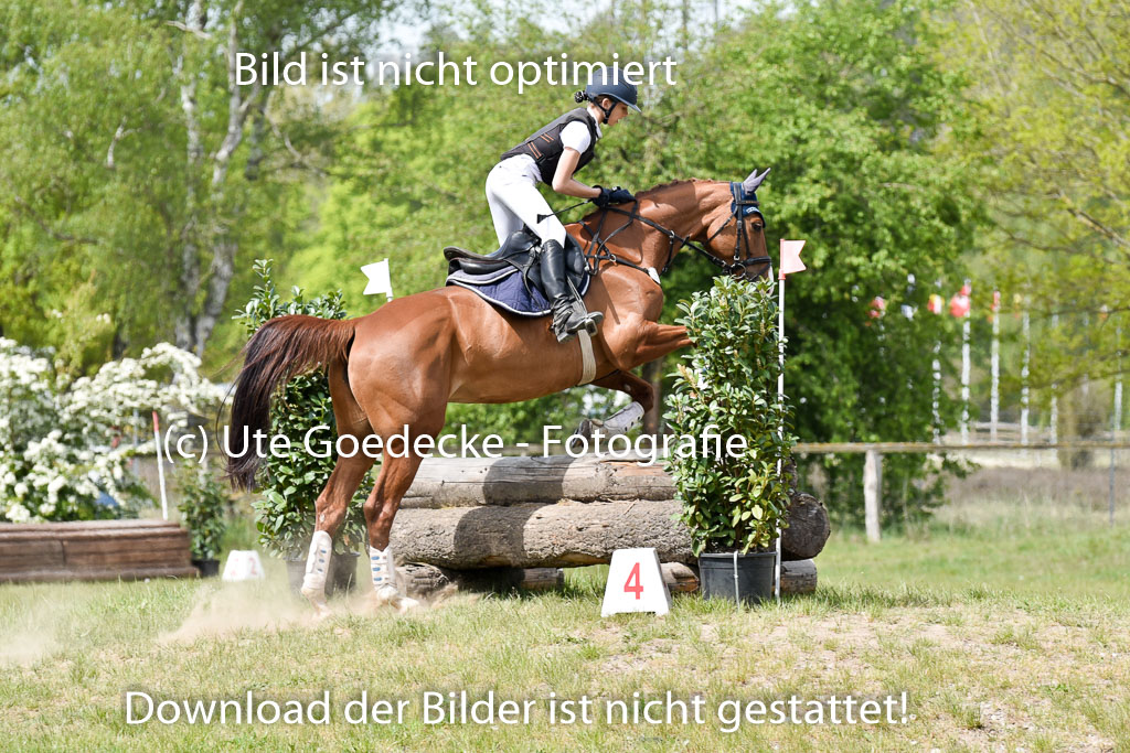  | 10052025 E Stilgelände _052 