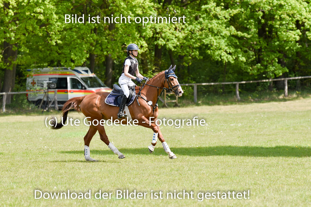  | 10052025 E Stilgelände _054 