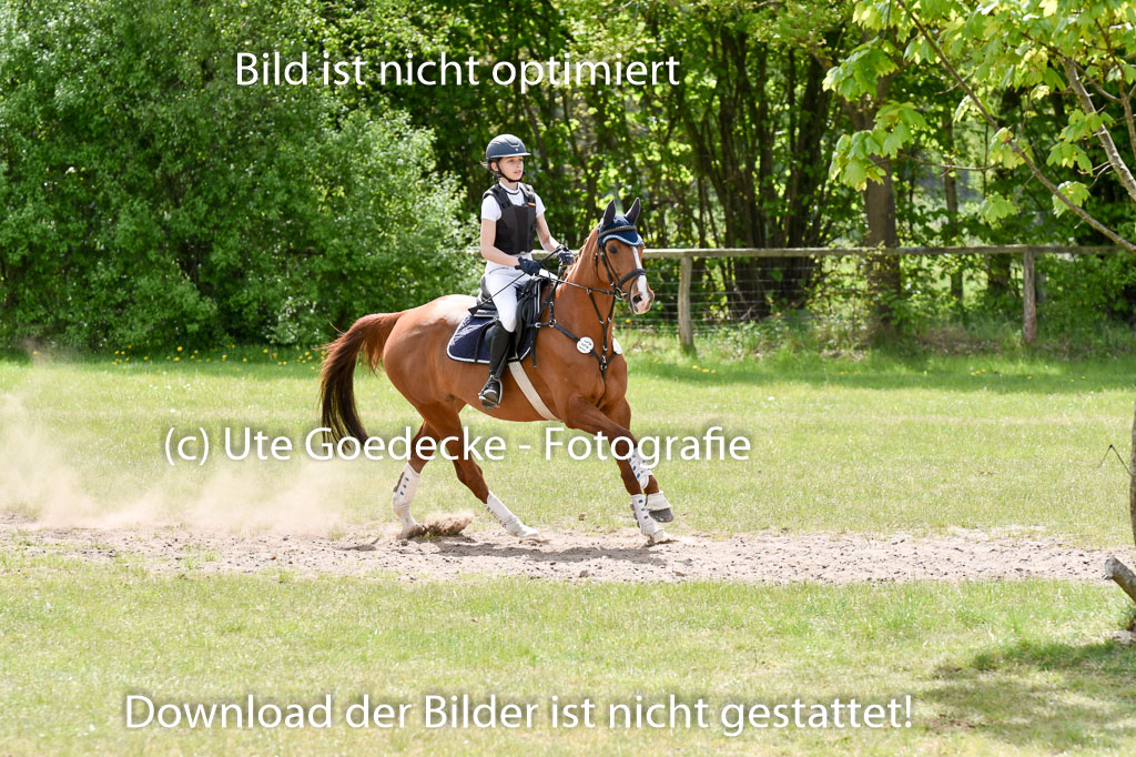  | 10052025 E Stilgelände _056 