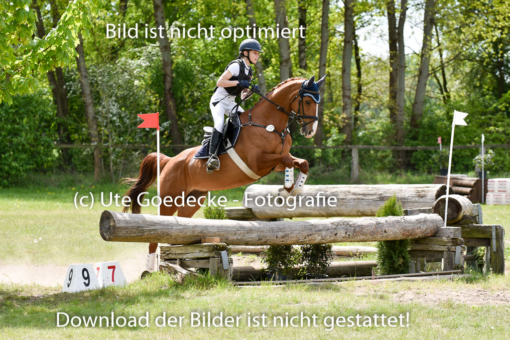  | 10052025 E Stilgelände _057 