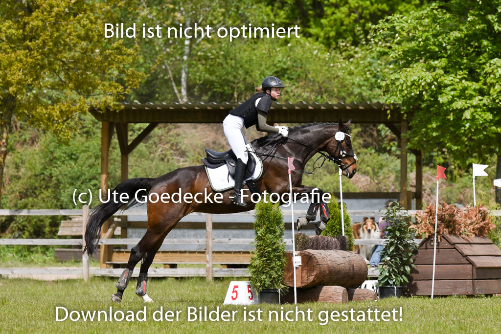  | 10052025 E Stilgelände _062 