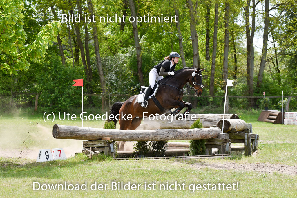  | 10052025 E Stilgelände _066 