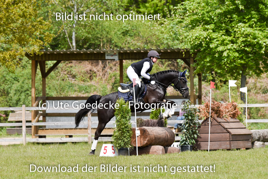  | 10052025 E Stilgelände _070 
