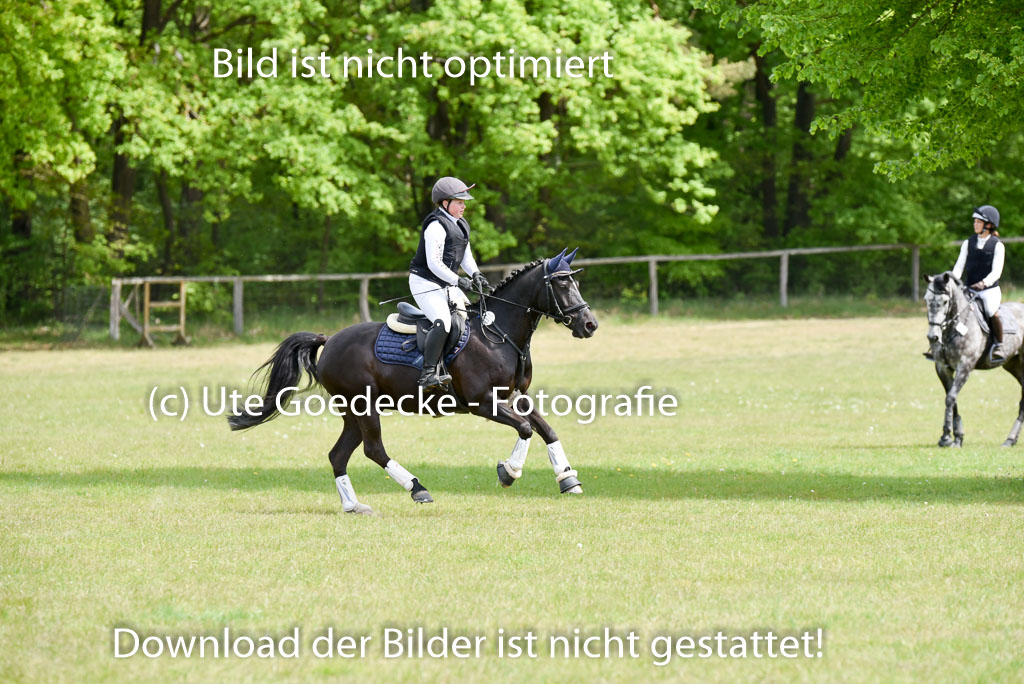  | 10052025 E Stilgelände _071 