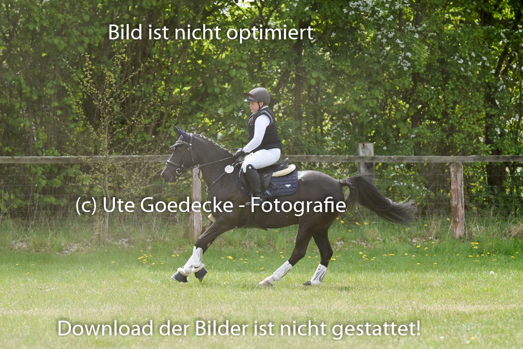  | 10052025 E Stilgelände _074 