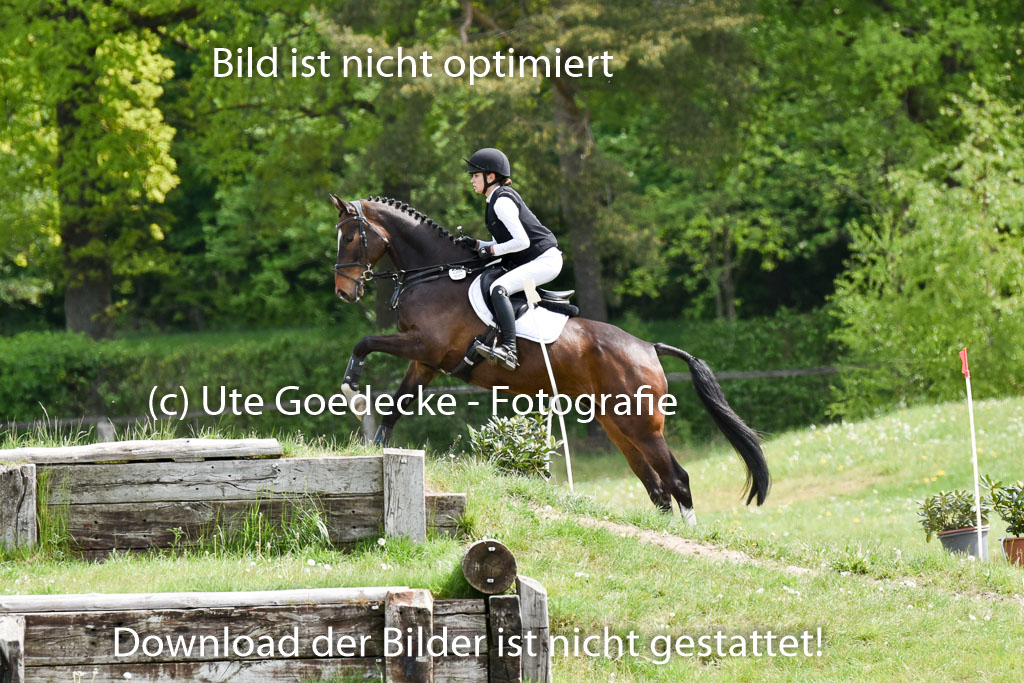  | 10052025 E Stilgelände _088 