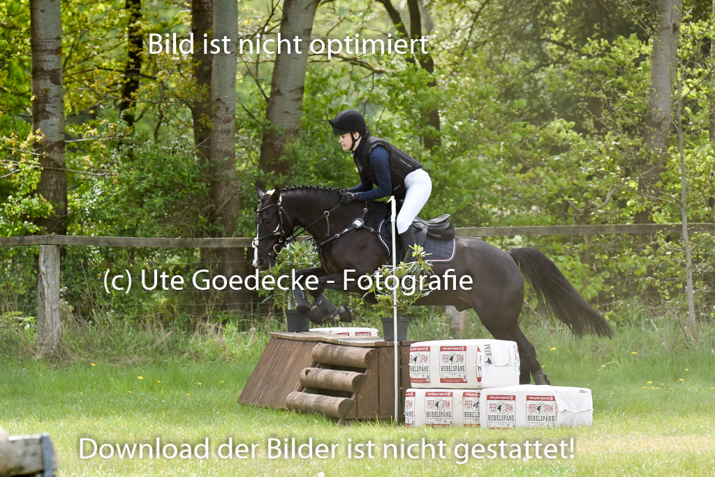  | 10052025 E Stilgelände _095 