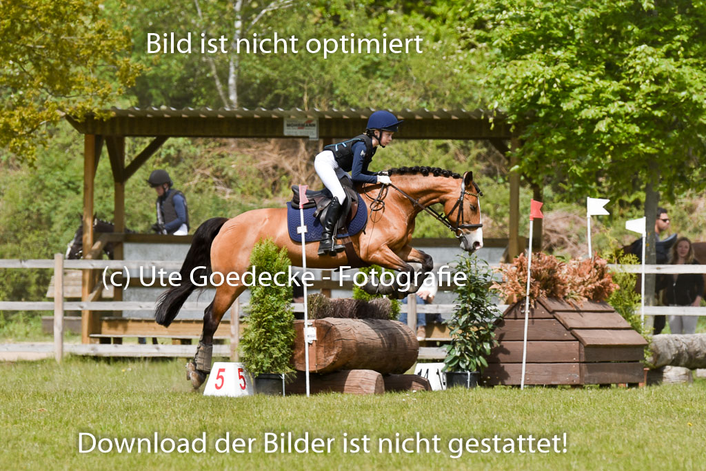  | 10052025 E Stilgelände _106 