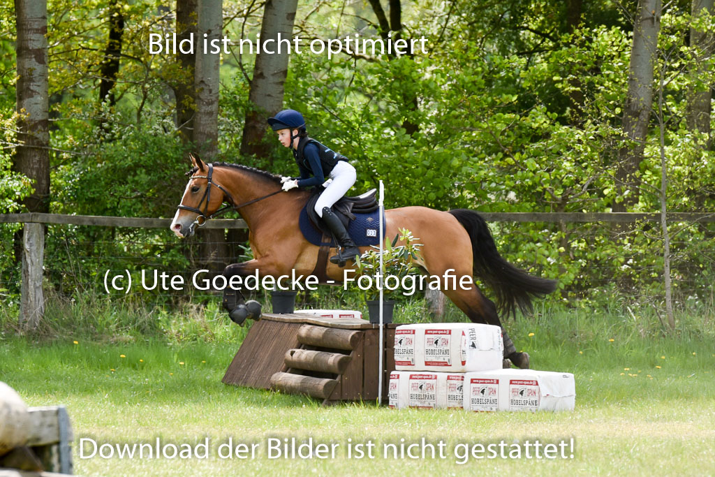  | 10052025 E Stilgelände _111 