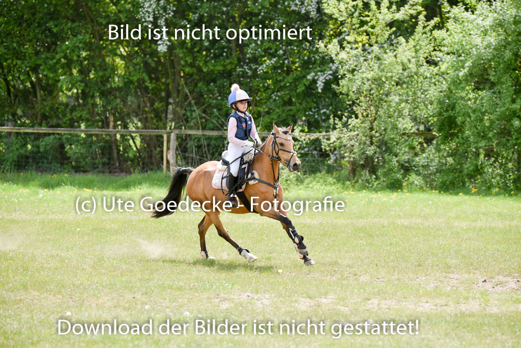  | 10052025 E Stilgelände _132 
