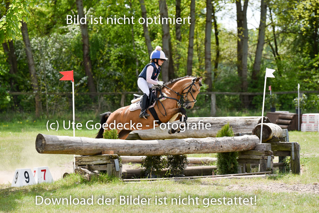  | 10052025 E Stilgelände _133 