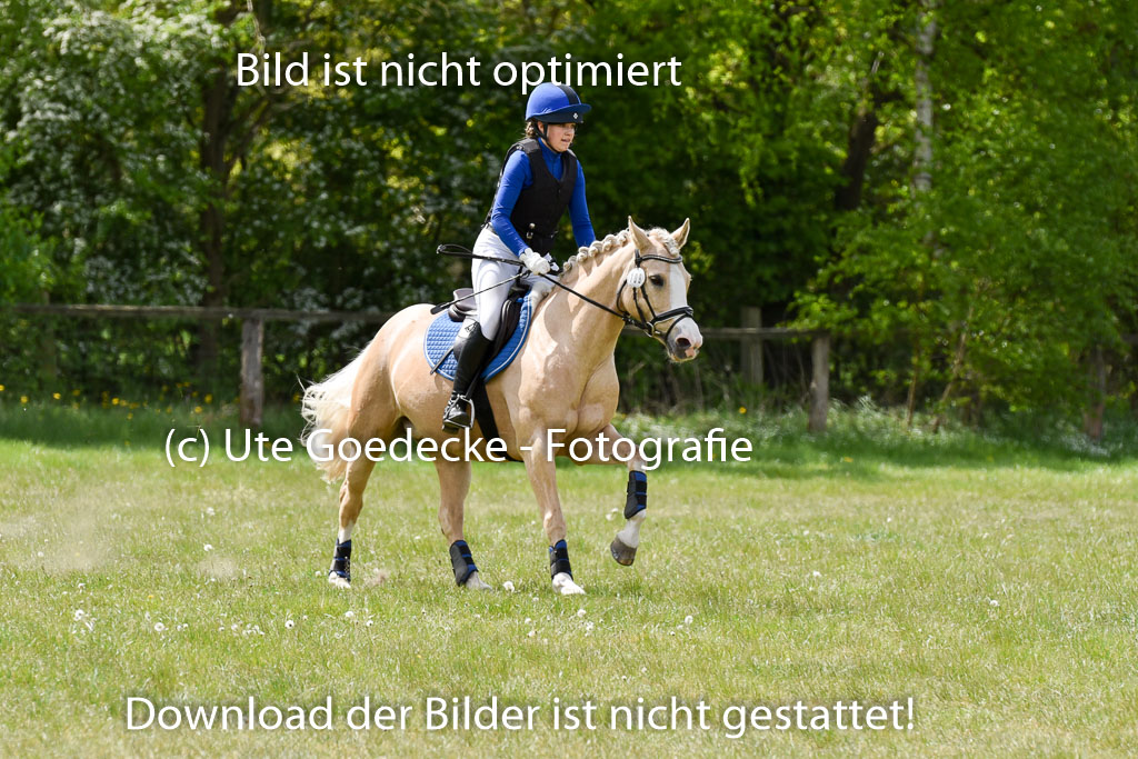  | 10052025 E Stilgelände _137 
